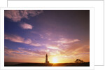 Sunset at Yaquina Head Lighthouse by Anonymous