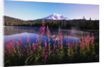 Mount Rainier Reflecting in Lake by Anonymous