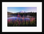 Mount Rainier Reflecting in Lake by Anonymous