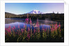 Mount Rainier Reflecting in Lake by Anonymous