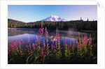 Mount Rainier Reflecting in Lake by Anonymous