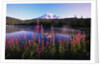 Mount Rainier Reflecting in Lake by Anonymous