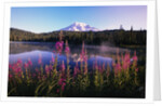 Mount Rainier Reflecting in Lake by Anonymous