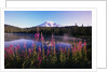 Mount Rainier Reflecting in Lake by Anonymous