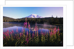 Mount Rainier Reflecting in Lake by Anonymous