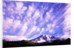 Mount Rainier by Anonymous