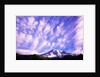 Mount Rainier by Anonymous
