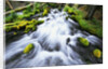 Rushing Stream by Anonymous