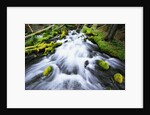 Rushing Stream by Anonymous