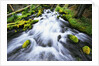 Rushing Stream by Anonymous