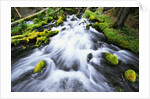 Rushing Stream by Anonymous