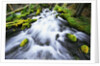 Rushing Stream by Anonymous