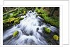 Rushing Stream by Anonymous