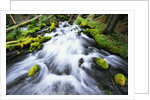 Rushing Stream by Anonymous