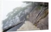 Hillside Path in China's Yellow Mountains by Anonymous