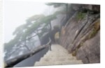 Hillside Path in China's Yellow Mountains by Anonymous