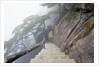 Hillside Path in China's Yellow Mountains by Anonymous