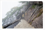 Hillside Path in China's Yellow Mountains by Anonymous