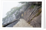 Hillside Path in China's Yellow Mountains by Anonymous