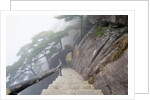 Hillside Path in China's Yellow Mountains by Anonymous