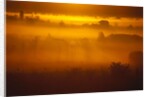 Early Morning Mist by Anonymous