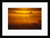 Early Morning Mist by Anonymous