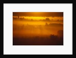 Early Morning Mist by Anonymous