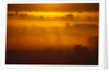 Early Morning Mist by Anonymous