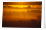 Early Morning Mist by Anonymous