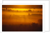 Early Morning Mist by Anonymous