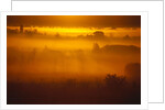 Early Morning Mist by Anonymous