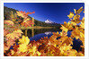 Fall Colors at Trillium Lake by Anonymous