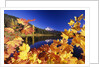 Fall Colors at Trillium Lake by Anonymous