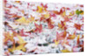 Autumn Snow by Anonymous