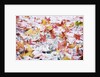 Autumn Snow by Anonymous
