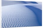 Sand Dunes by Anonymous