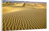 Sand Dunes by Anonymous