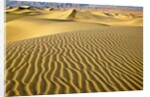 Sand Dunes by Anonymous