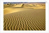 Sand Dunes by Anonymous