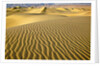 Sand Dunes by Anonymous