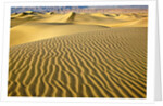 Sand Dunes by Anonymous