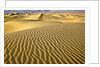 Sand Dunes by Anonymous