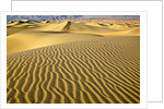 Sand Dunes by Anonymous