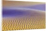 Purple Sand Dunes by Anonymous