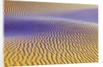 Purple Sand Dunes by Anonymous