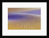Purple Sand Dunes by Anonymous