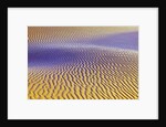 Purple Sand Dunes by Anonymous