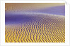Purple Sand Dunes by Anonymous