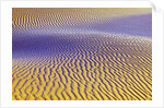 Purple Sand Dunes by Anonymous