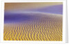 Purple Sand Dunes by Anonymous